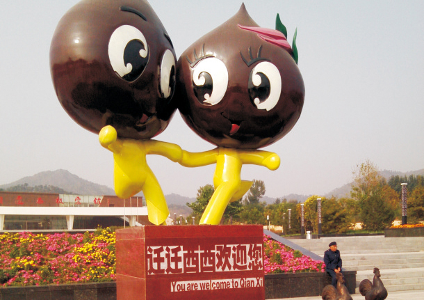 ��˾���³��Ӳ���ɽǨ����Ǩ����Ŀ